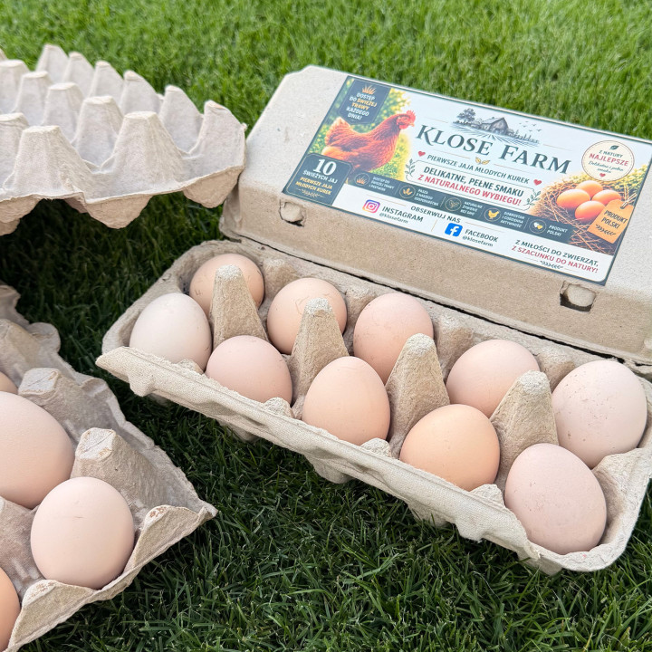 Farm eggs – pack of 10